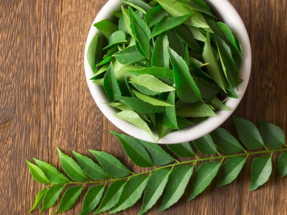 Olio di neem, foglie e utilizzi